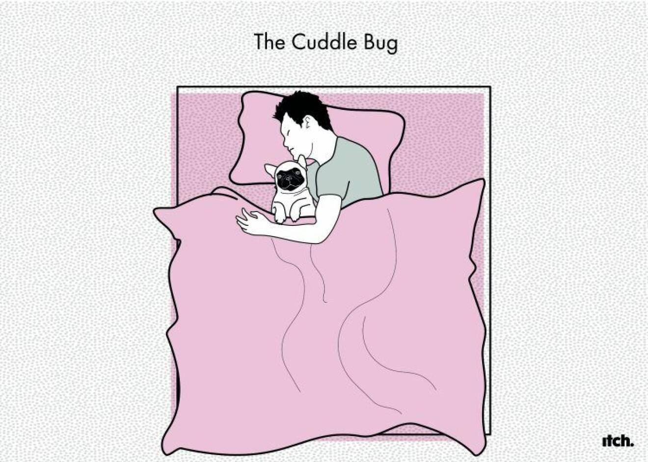 The cuddle bug