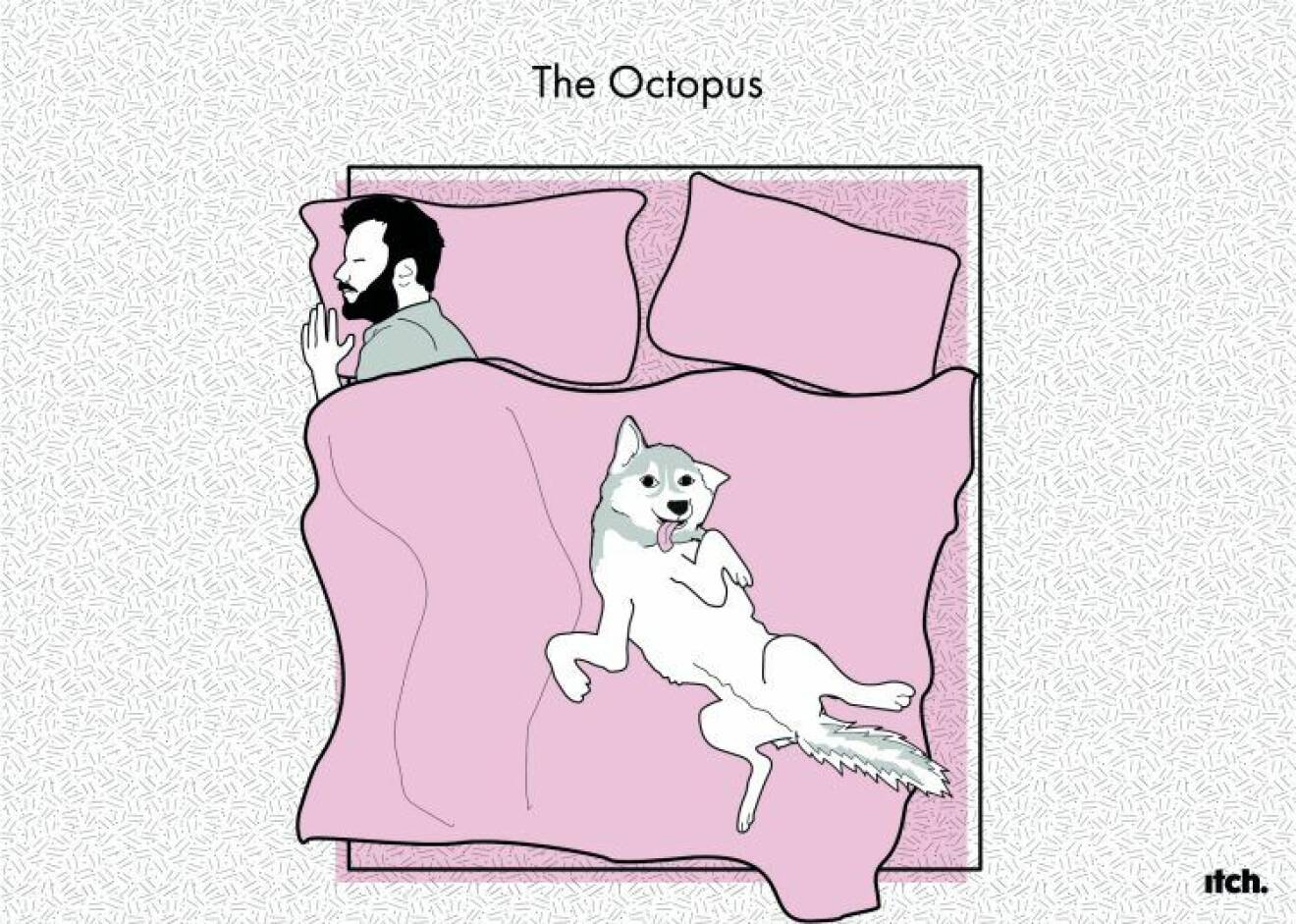 the octopus