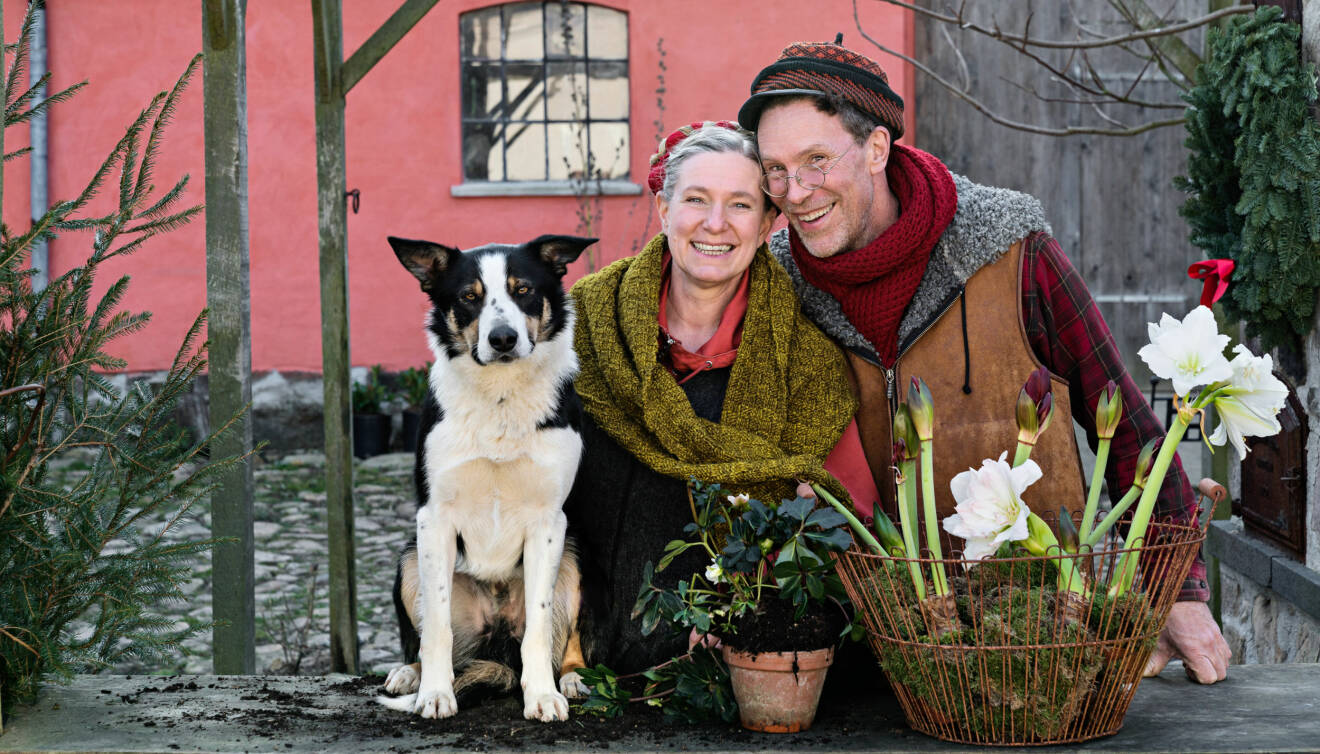 Gustav och Marie Mandelmann tillsammans med hunden Saffran på julpyntade gården Djupadal i Skåne.