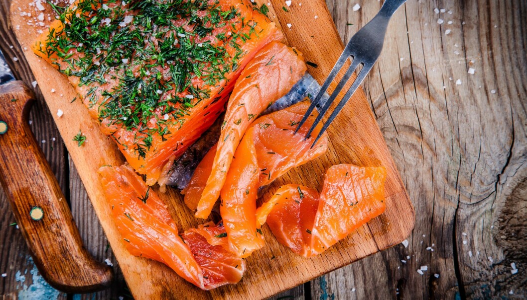 Foto: Shutterstock/TT Gravad lax bör frysas i två dygn för att döda eventuella bakterier.