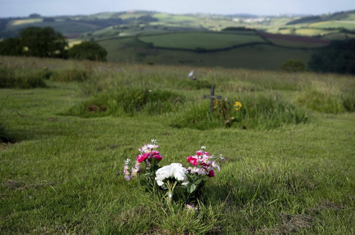 Här i Sharpham i Storbritannien erbjuds en ”naturlig begravningsplats” och ett ekologiskt alternativ. Foto: TT Utsikt från grön begravningsplats i England