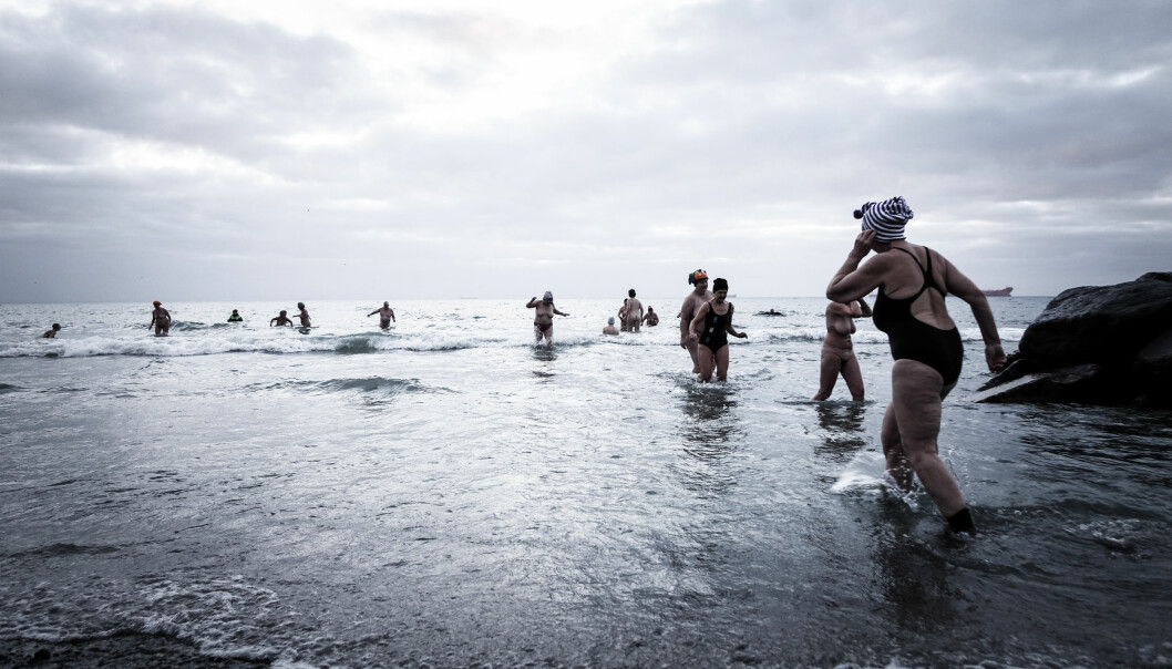 Varm gemenskap i ett iskallt Skagerack. Foto: Turisthus Nord.