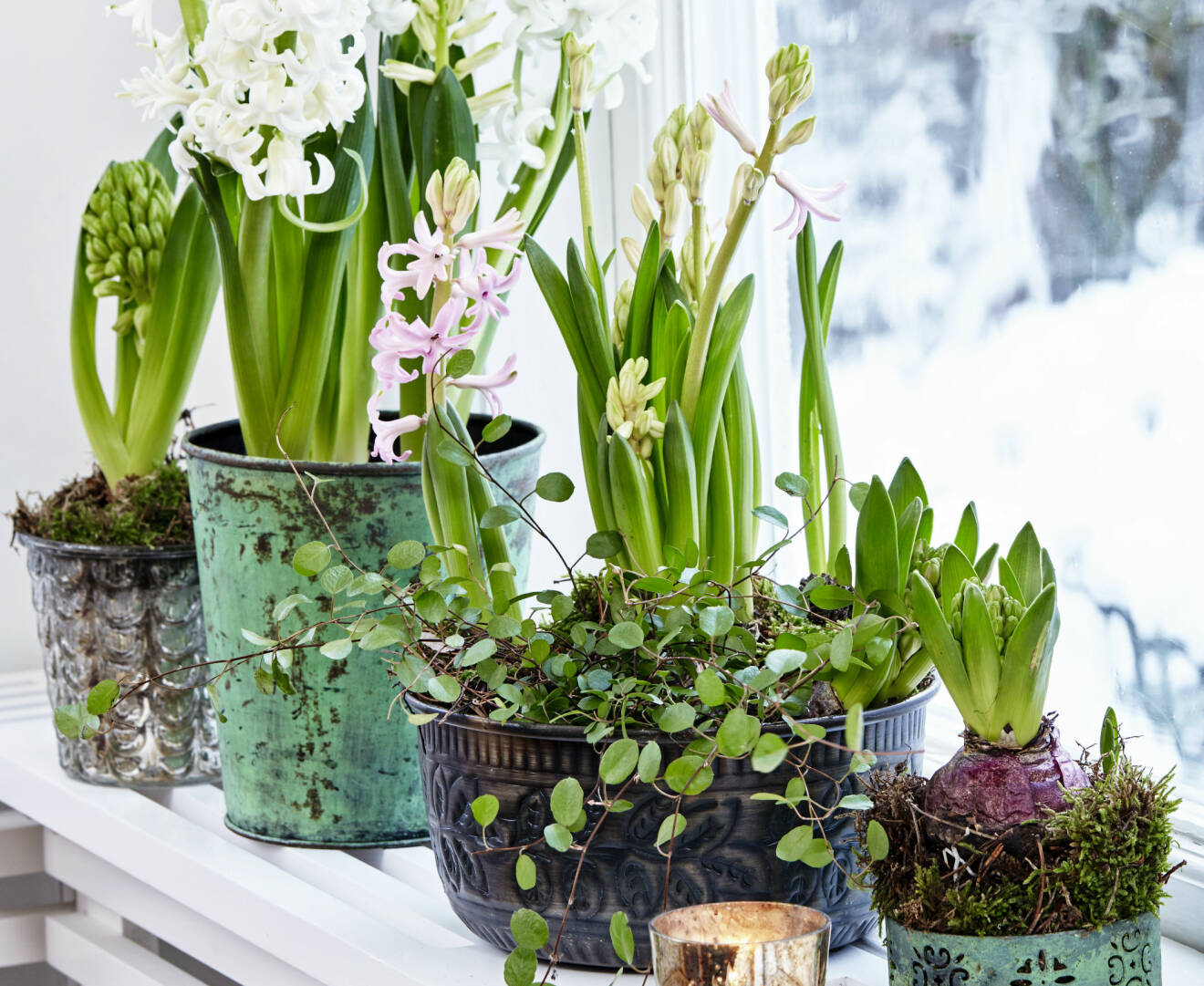 Hyacinter i olika sorters färger och krukor på fönsterbräde.