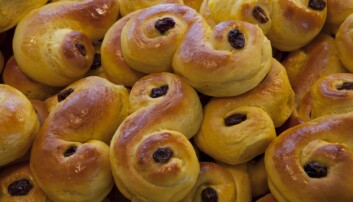 Snabbt och lätt – lussebullar och annat gott hittar jag på recept.se. Foto: TT Lussekatter på plåt.