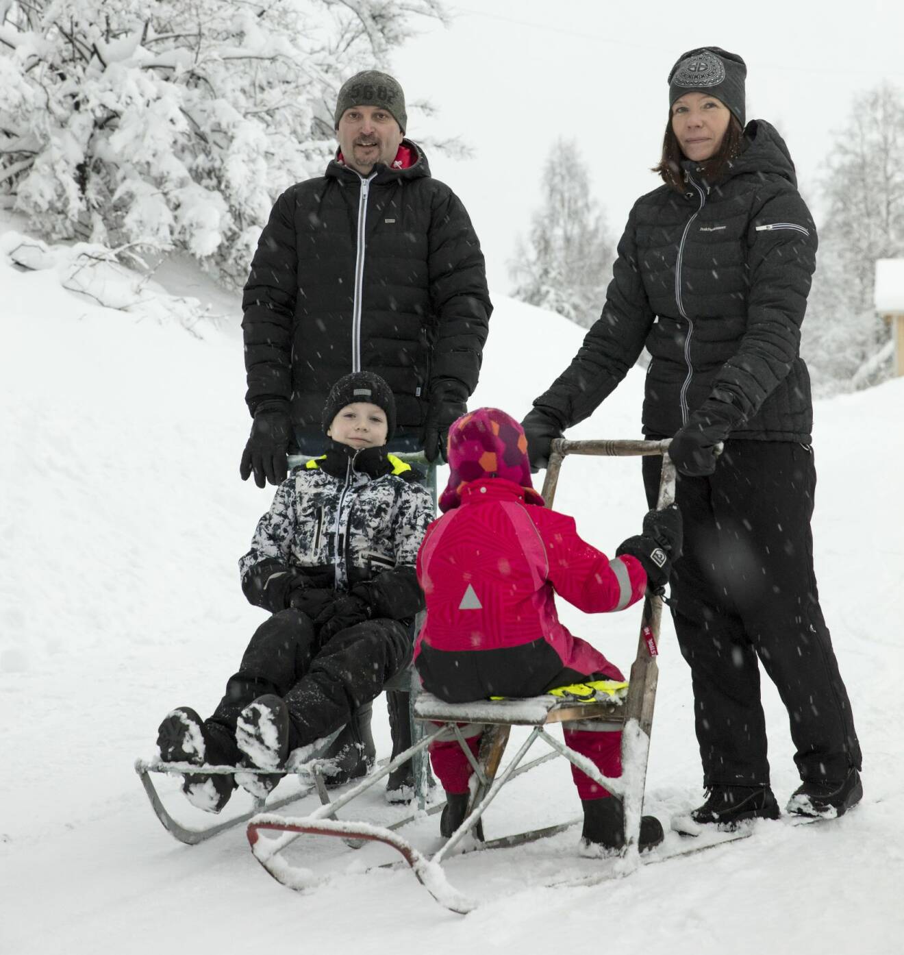 Isak och Lovisa sitter på varsin spark i snön, pappa Jerry och mamma Annica skjuter på.