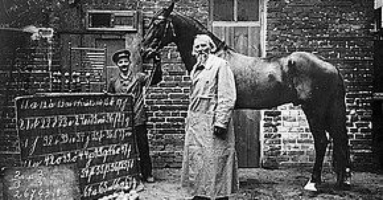Wilhelm von Osten med hästen Kloke Hans.