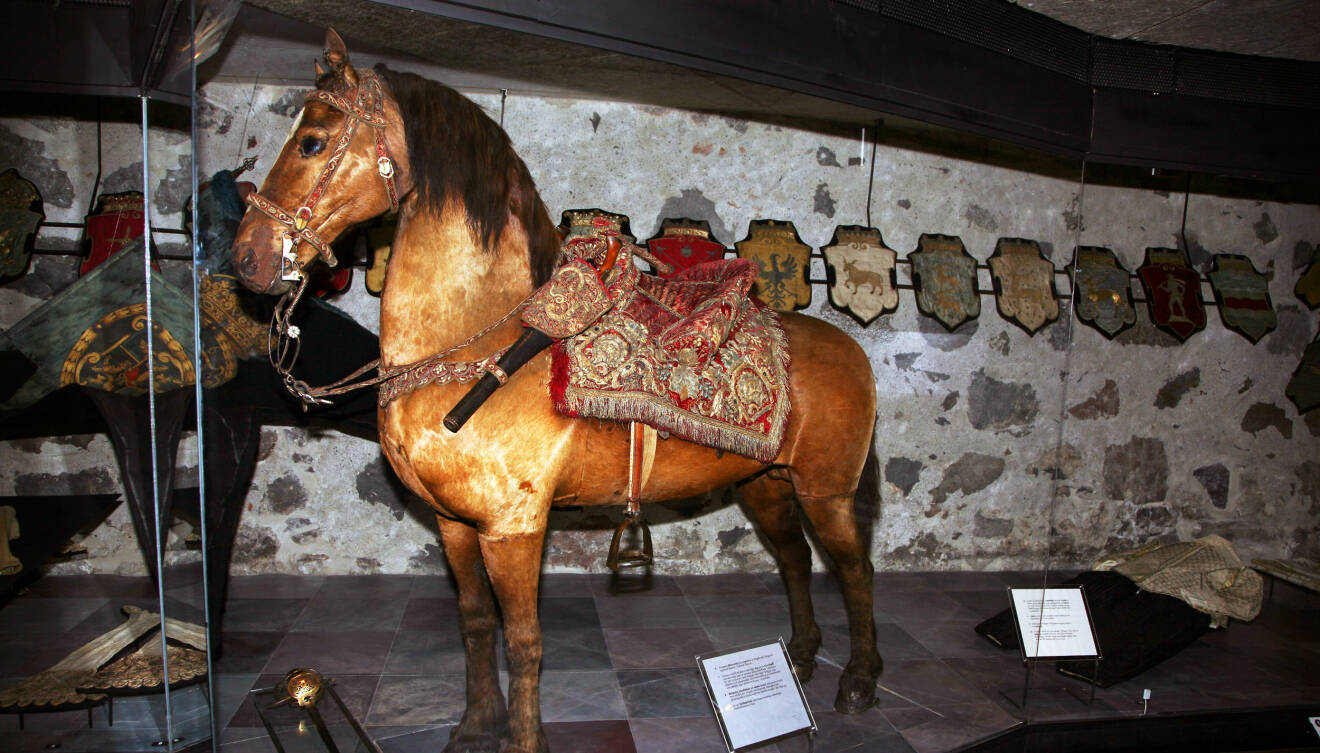 Gustav II Adolfs häst Streiff på Livrustkammaren i Stockholm.