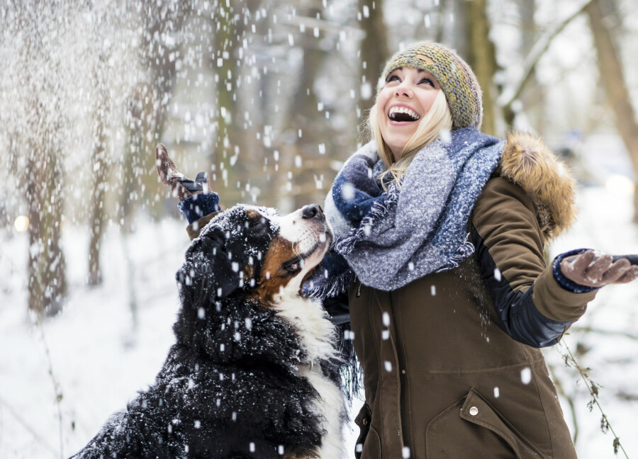 Förena nytta med nöje – passa grannens hund över jul. Foto: Shutterstock/TT Kvinna busar med hund i snö.