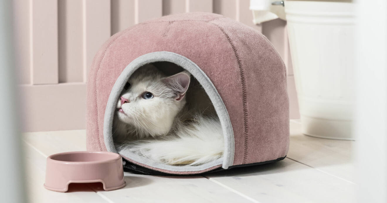 Katt gosar i katthus från Ikeas nya kollektion Lurvig.