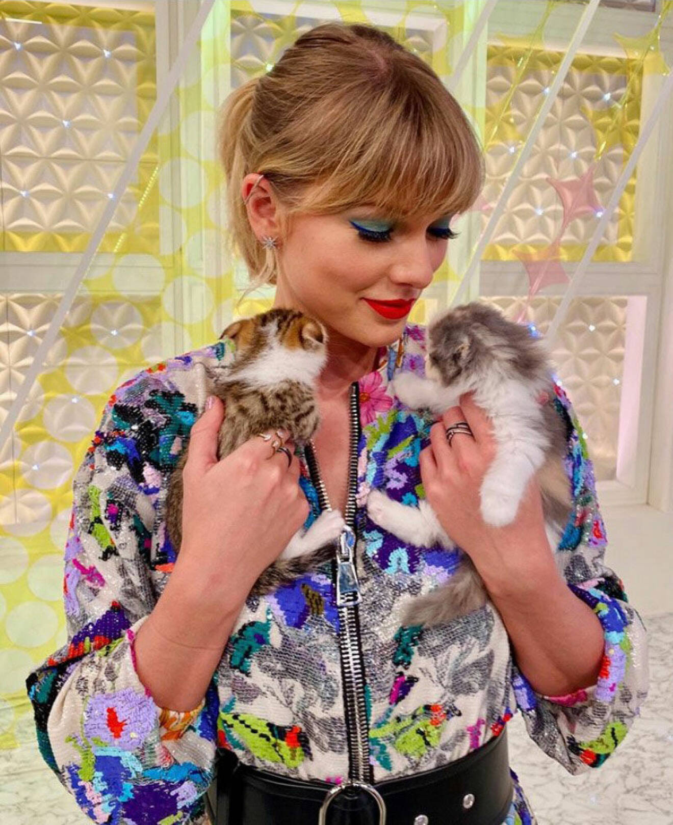 Taylor Swift med katter.