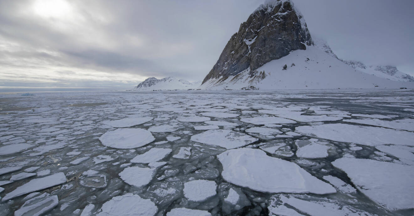 Berg och is vid Bellsund, Svalbard.