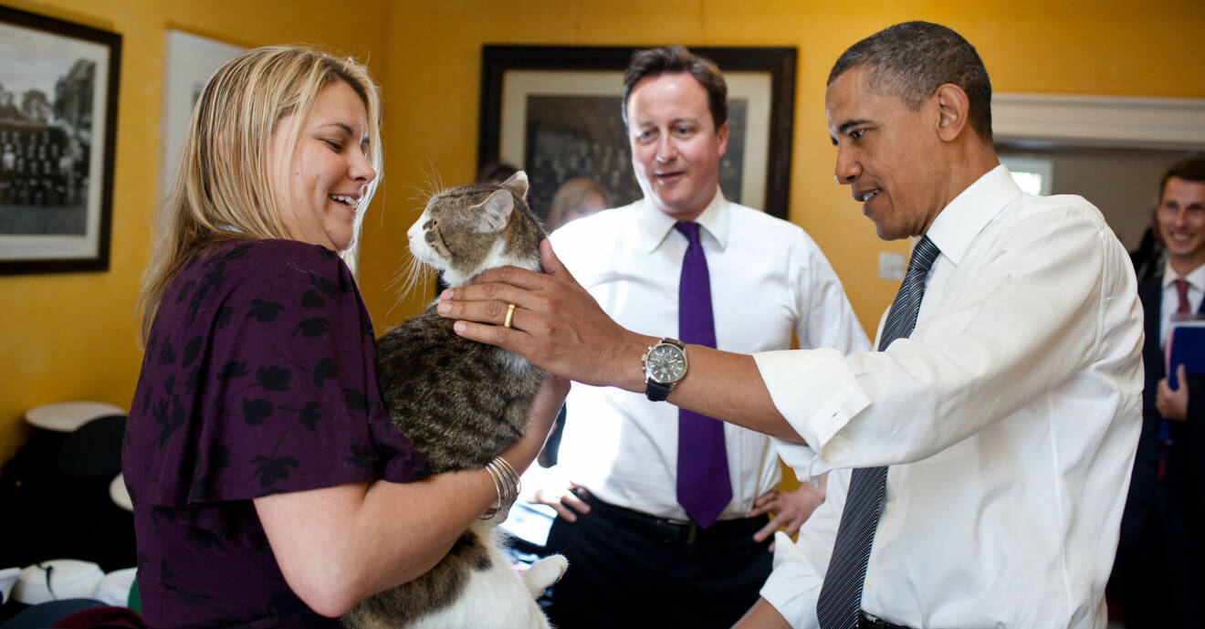 Barack Obama klappar Larry och David cameron tittar på.