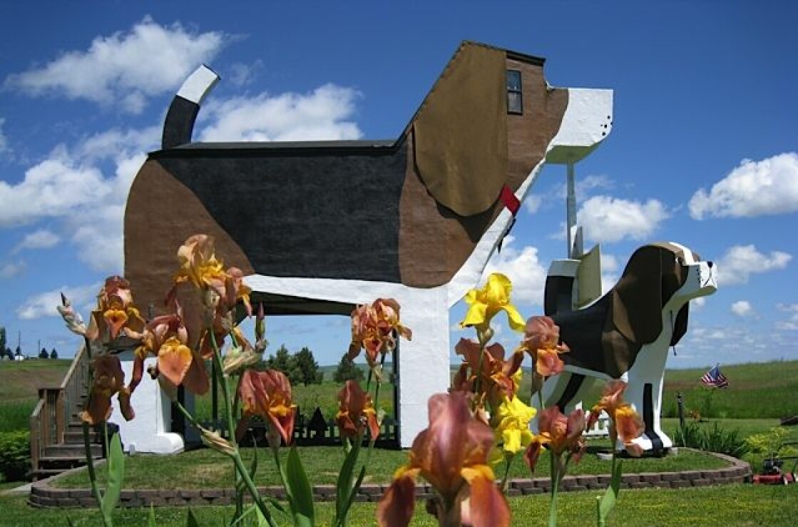 <i>Foto: Dog bark park inn</i>