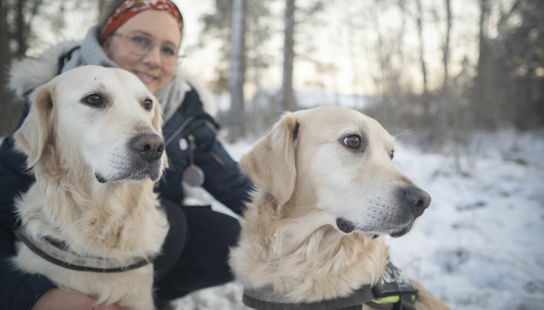 Hundarna är som barn för Vanessa. Foto: Jennifer Glans Vanessa Lundahl med sina hundar i skogen.