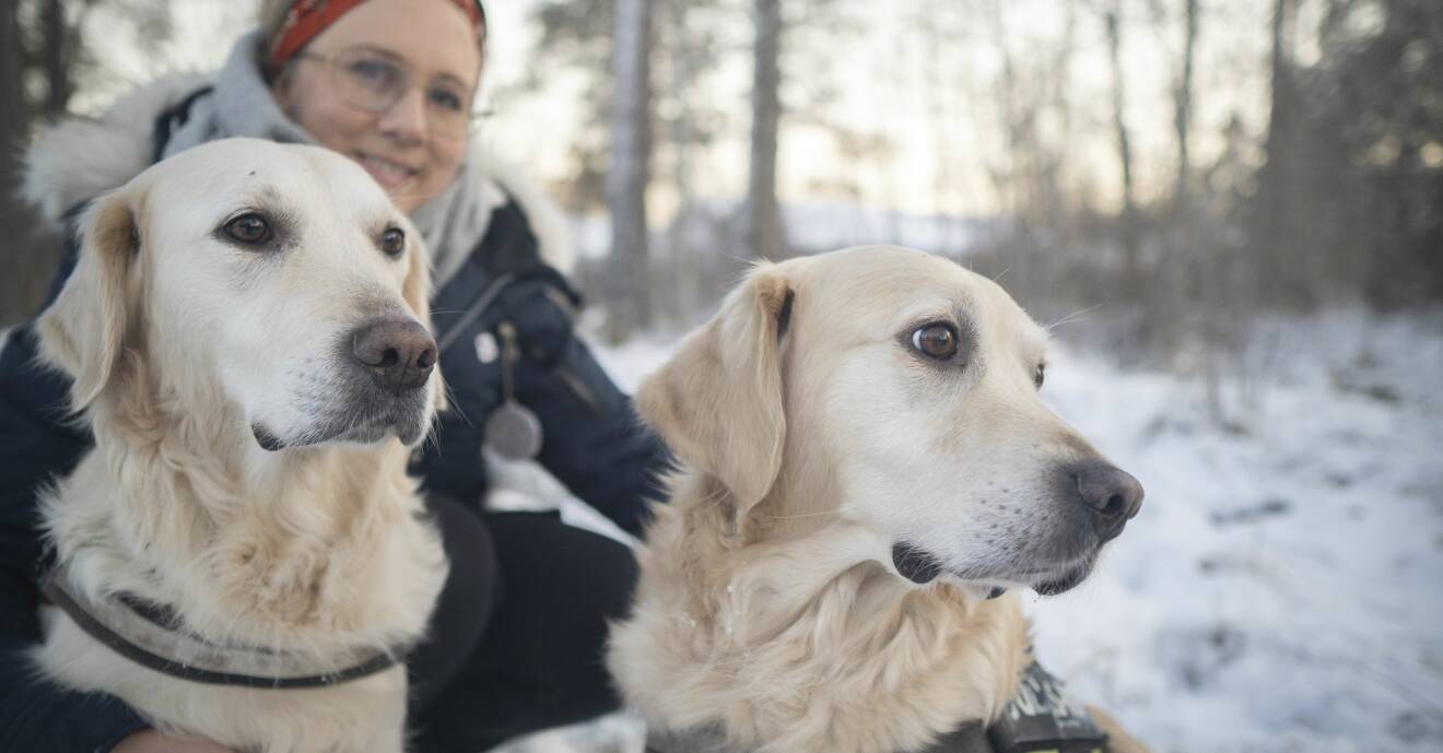 Vanessa Lundahl med sina hundar i skogen.