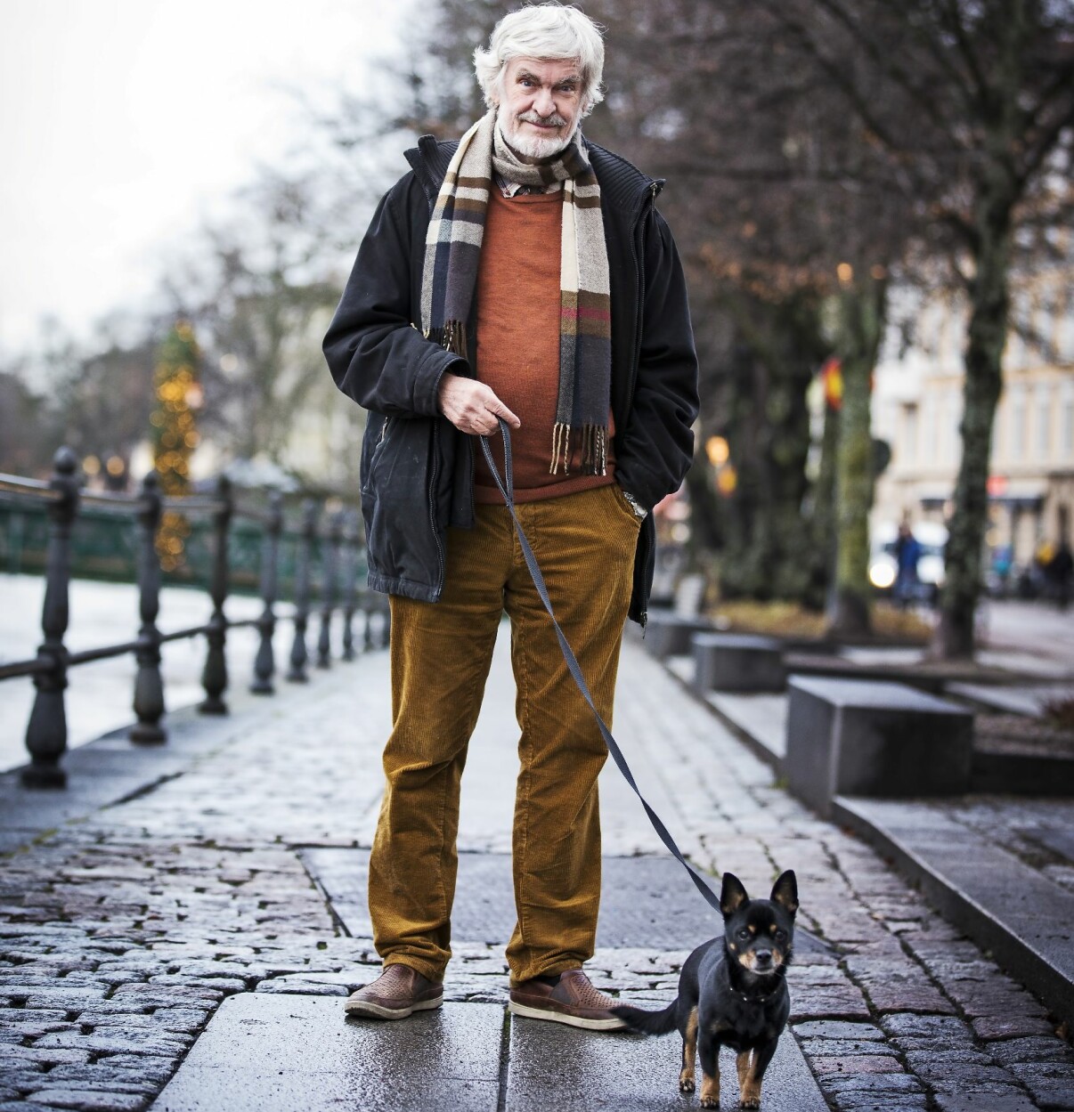 På promenad med Yoda – Lindas hund som låg tätt intill sin matte efter olyckan. Foto: Veronica Kindblad På promenad med Yoda – Lindas hund som låg tätt intill sin matte efter olyckan. Foto: Veronica Kindblad