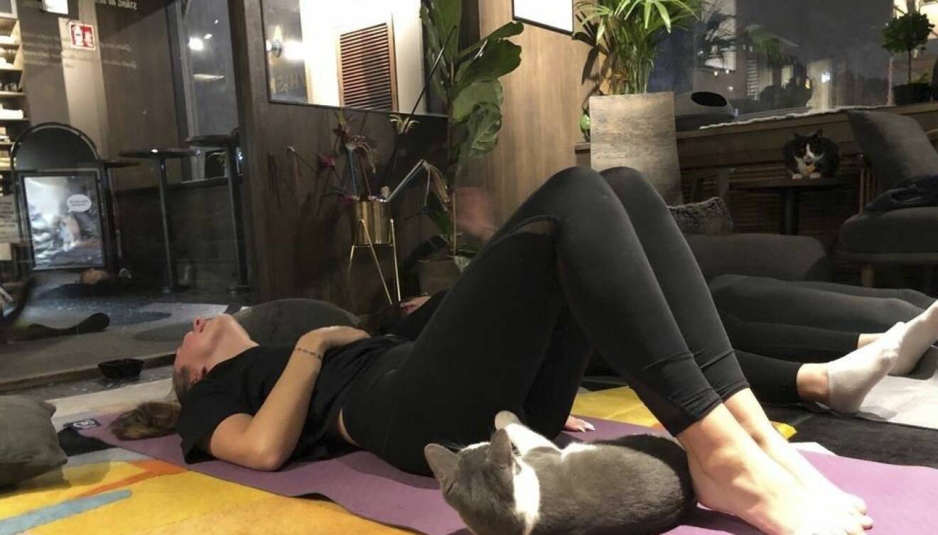 Kvinna kopplar av på yogamattan med katt under knäna.