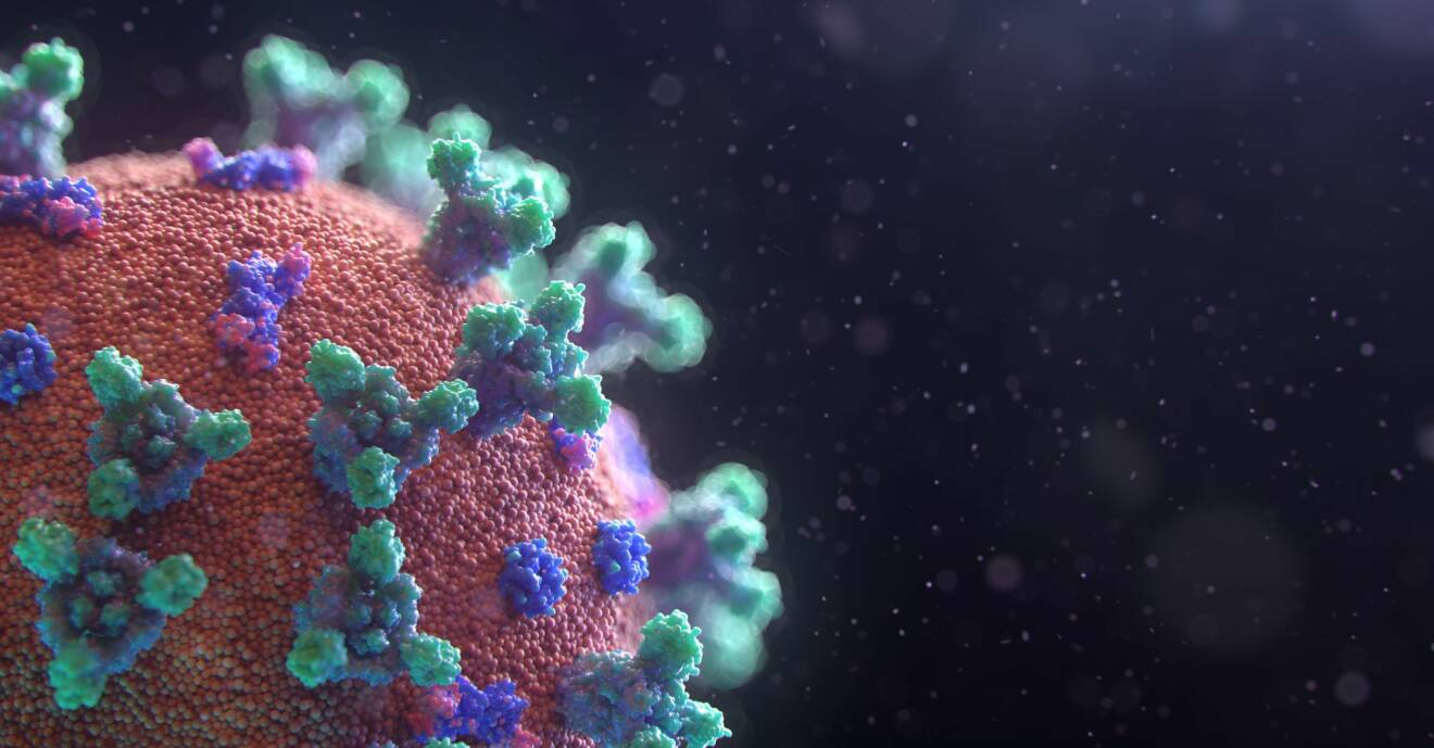 Coronavirus under ett mikroskop med de typiska kron-formerna.