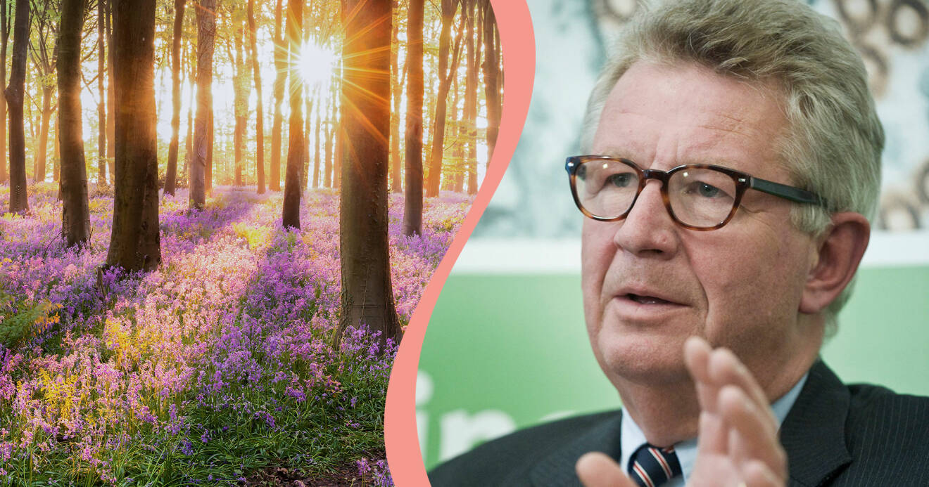Kollage av skog med solljus och experten Johan Giesecke.