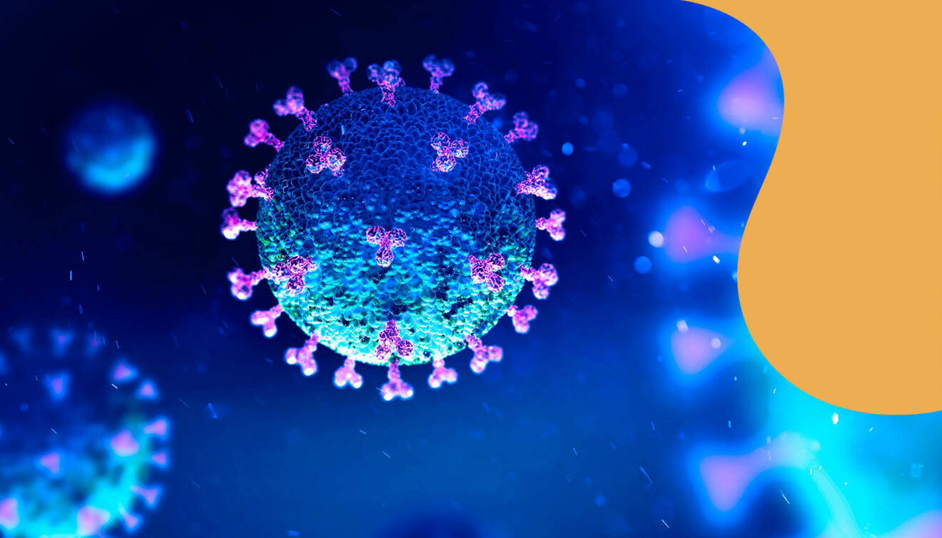Coronavirus under ett mikroskop.