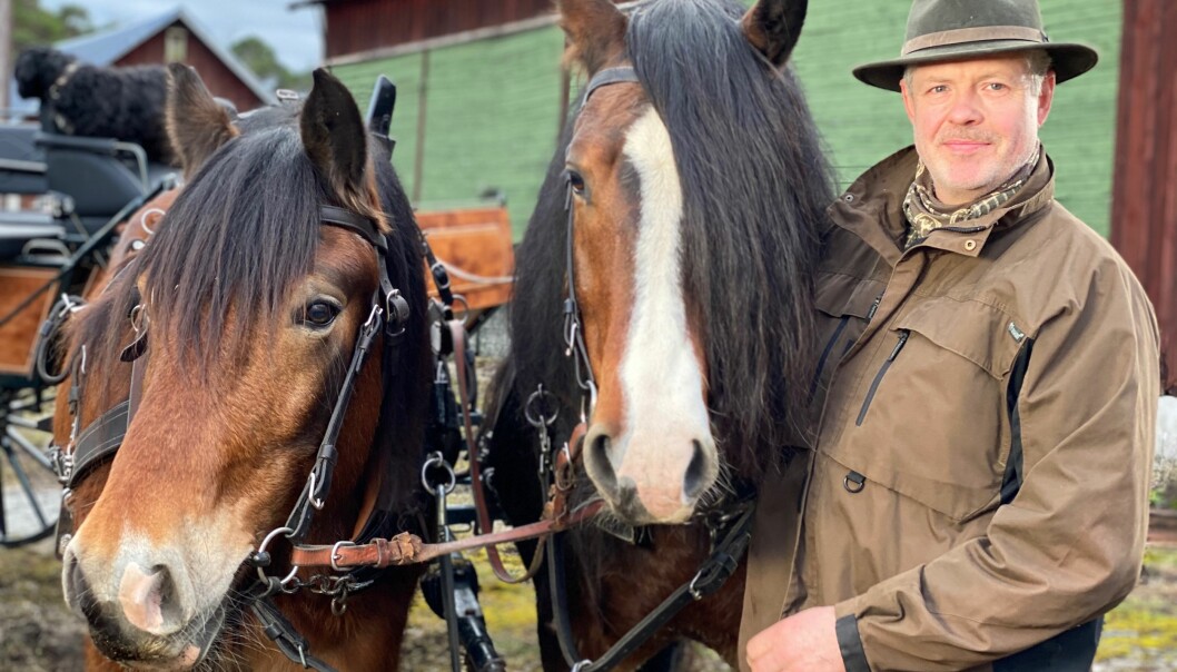 Mats Thomsson. Foto: TV4 Mats Thomsson med två hästar på Gotland.