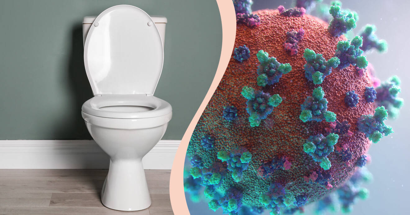Kollage av toalett och närbild av coronavirus.