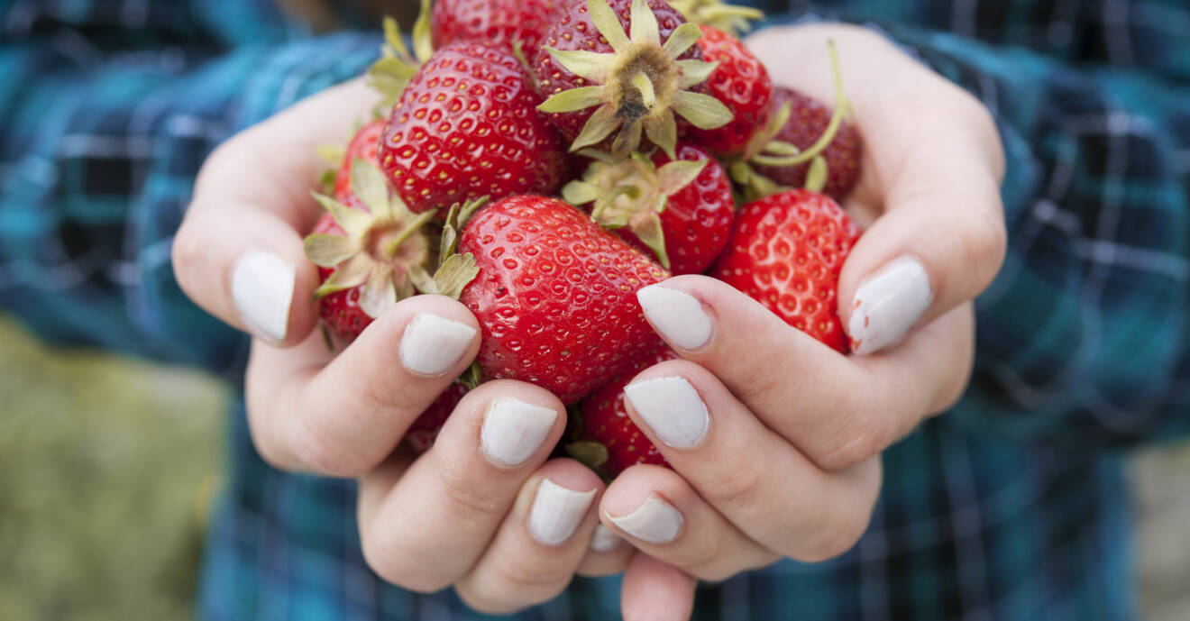 Kvinna som håller jordgubbar i sina händer.