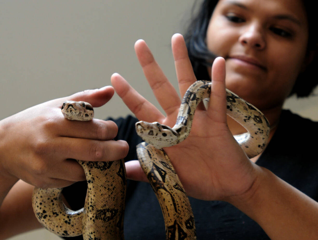 Ana Wahlström håller en orm i händerna och berättar om uppväxten med exotiska djur.