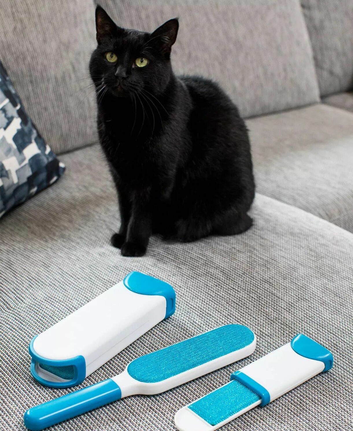 Katt sitter i en soffa bredvid en luddborste med tillbehör.
