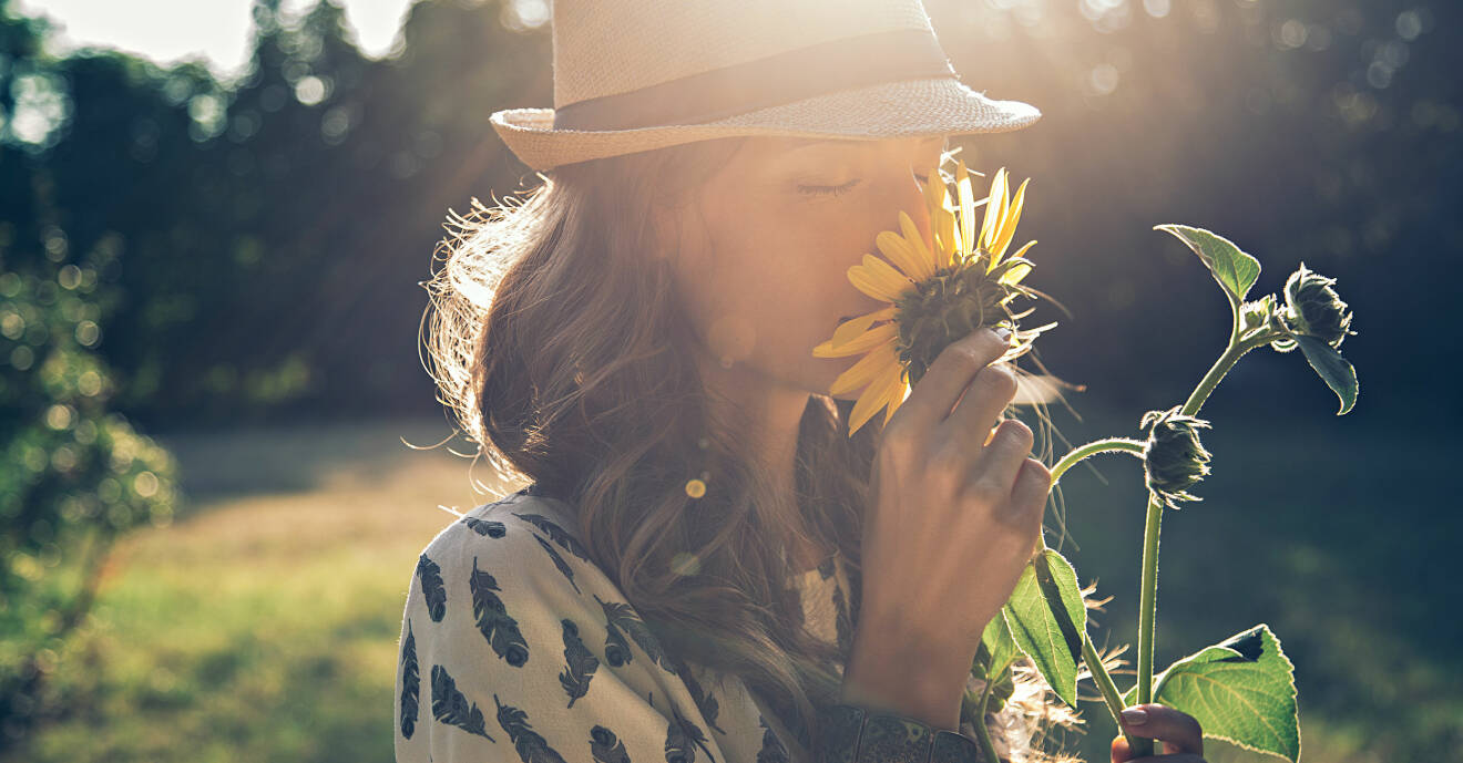 En kvinna luktar på en solros.