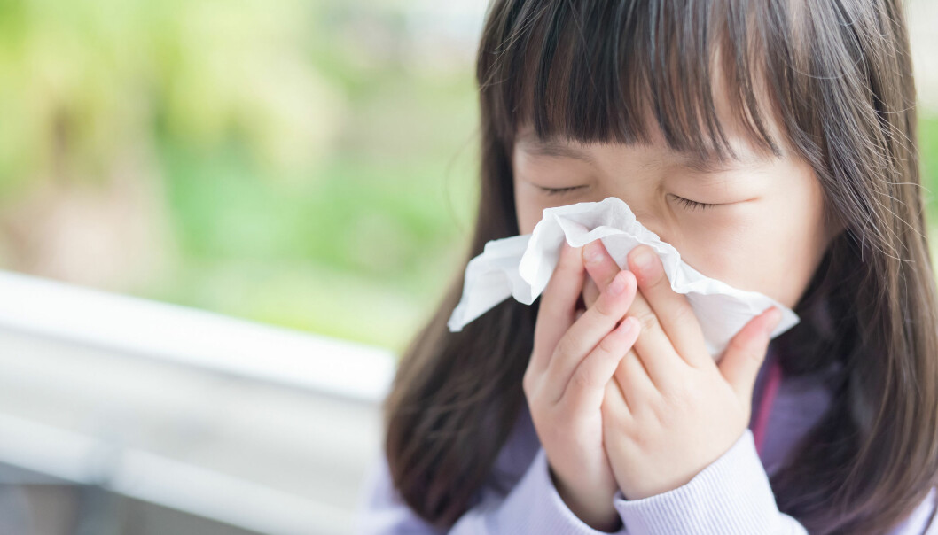 Barn med förkylningssymtom ska inte vara på förskolan – men inte alla föräldrar verkar följa Folkhälsomyndighetens råd. Foto: Shutterstock/TT Flicka nyser i en näsduk.