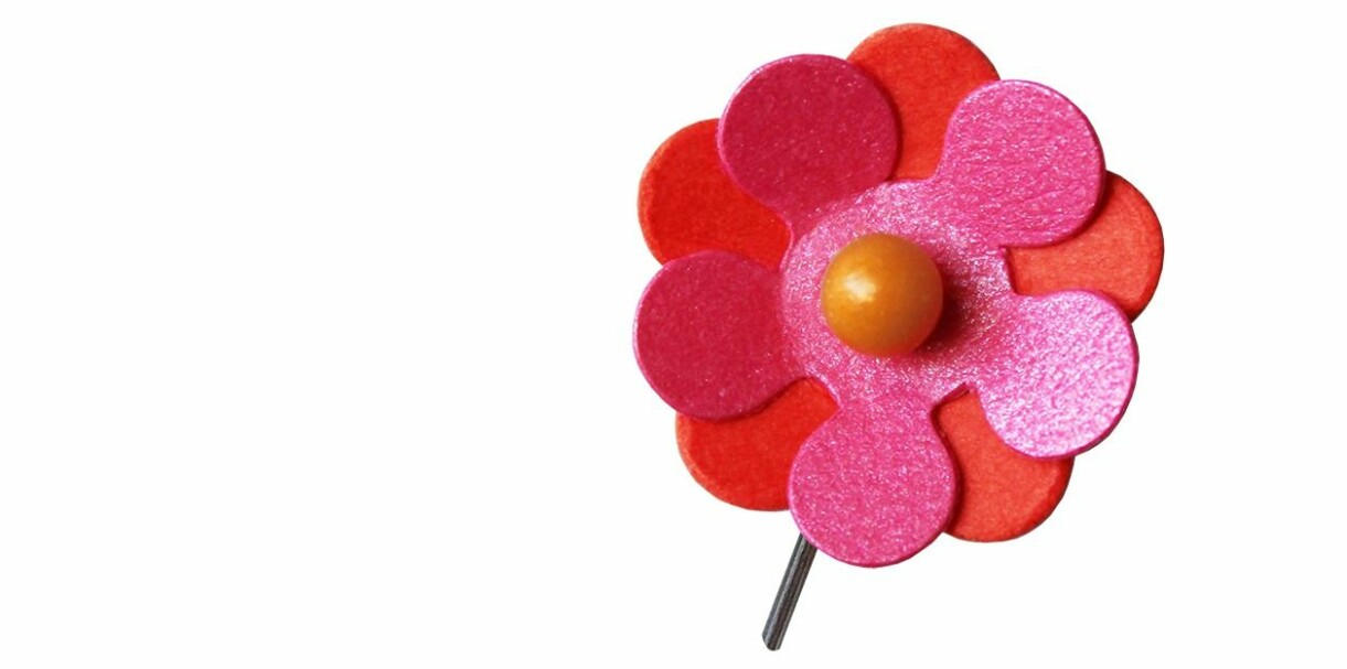Foto: Majblomman Årets majblomma 2020 är brandgul, rosa och gul.