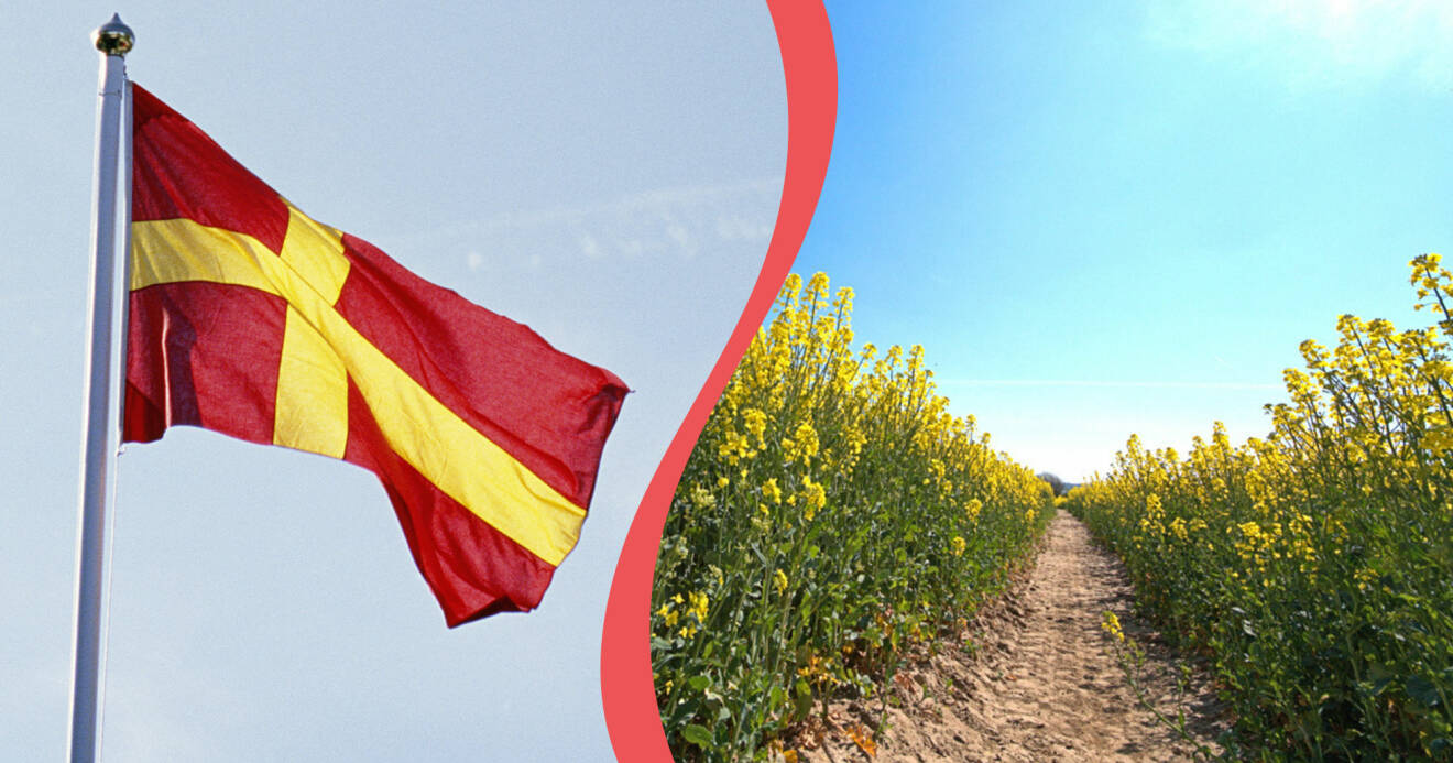 Kollage av skånsk flagga och ett rapsfält – typiska symboler för Skåne.