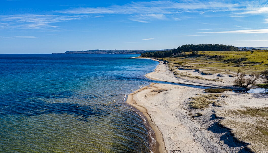 Foto: Hussein El-alawi / Sydsvenskan / TT Vackra stränder på skånska österlen.