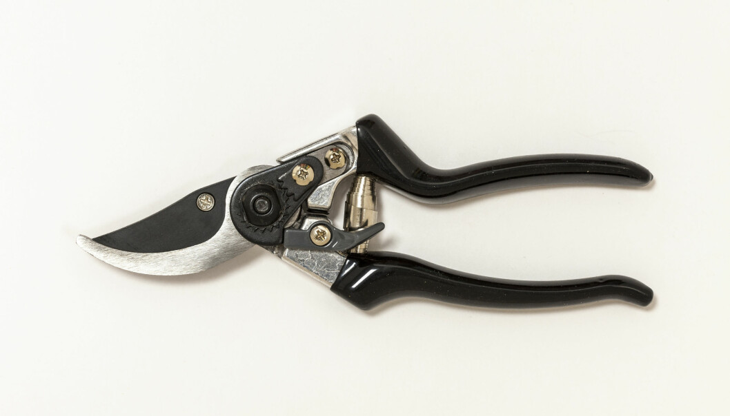 Bypass secateurs