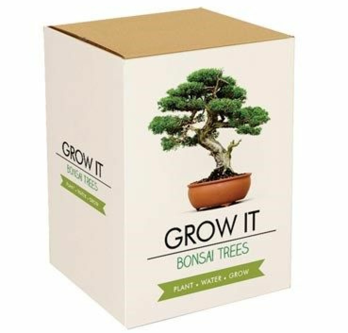 Odla ditt eget bonsai-kit