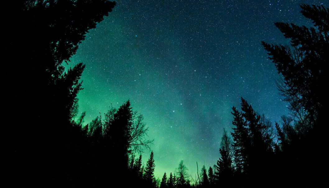 Foto: Shutterstock/TT Norrsken.