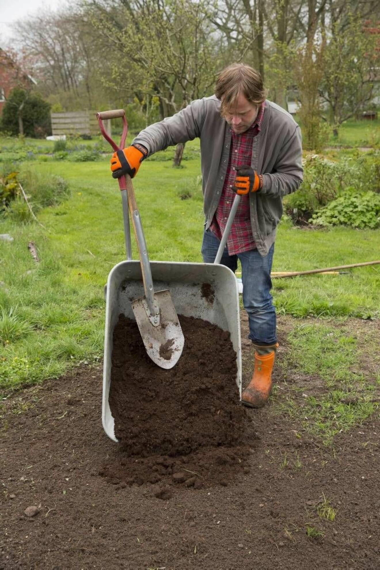 Eventuellt måste mer jord läggas på. Ett 2–5 centimeter tjockt lager med en blandning av kompost och kogödsel ger en bra näringsgrund.