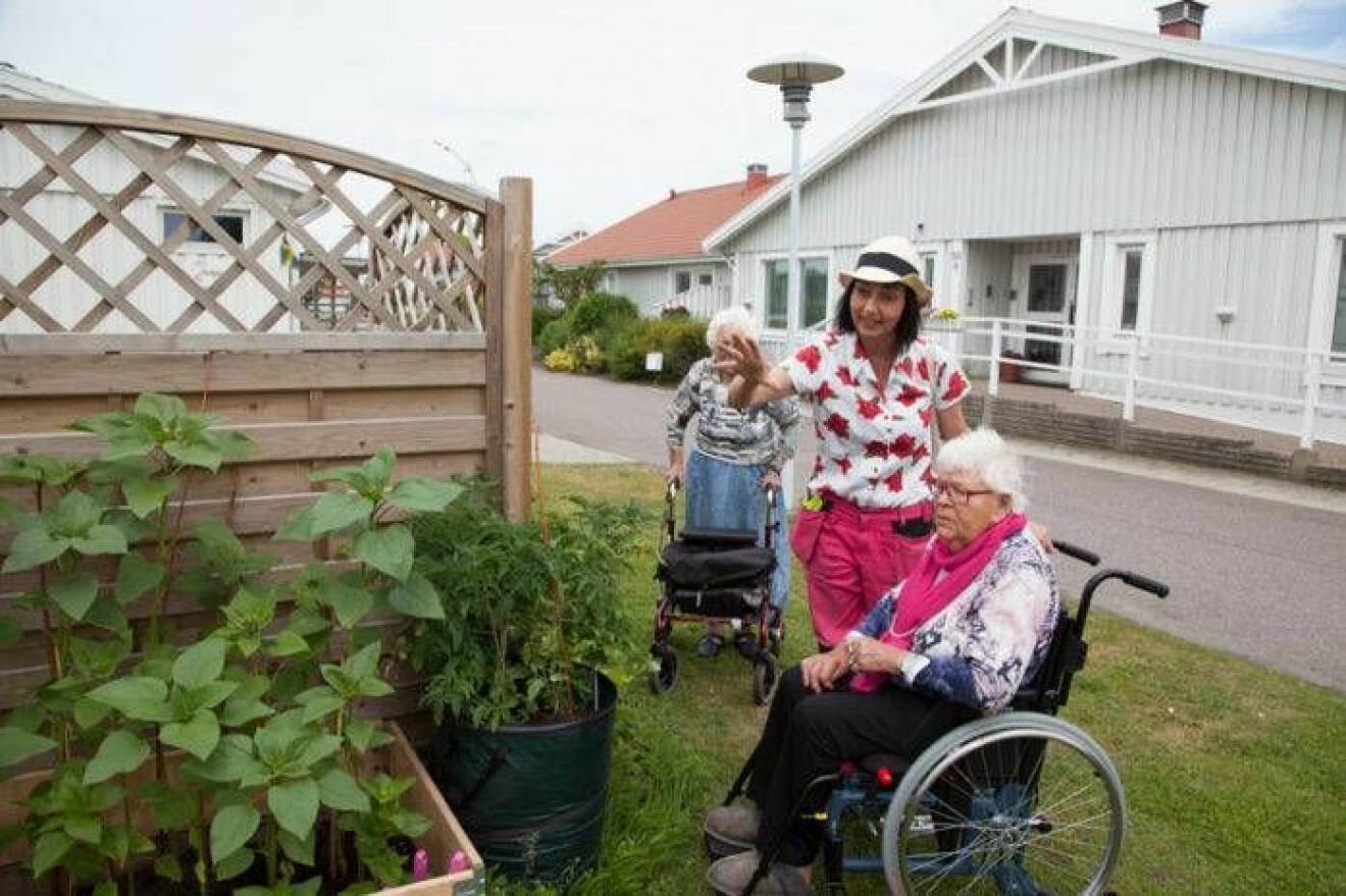 Maria Lindberg beundrar odlingarna tillsammans med Rut Edenhed som bor på Hyllie parks äldreboende. I bakgrunden syns Inga-Lisa Lindberg.
