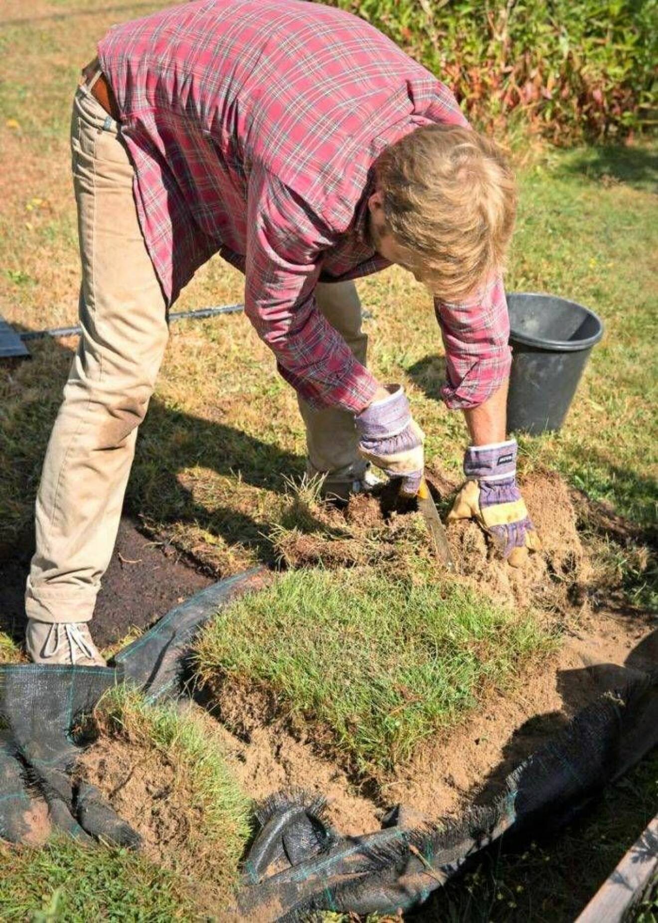Gräv till den yta som ska lagas. Gräv så djupt att både grässvål och ny jord får plats.