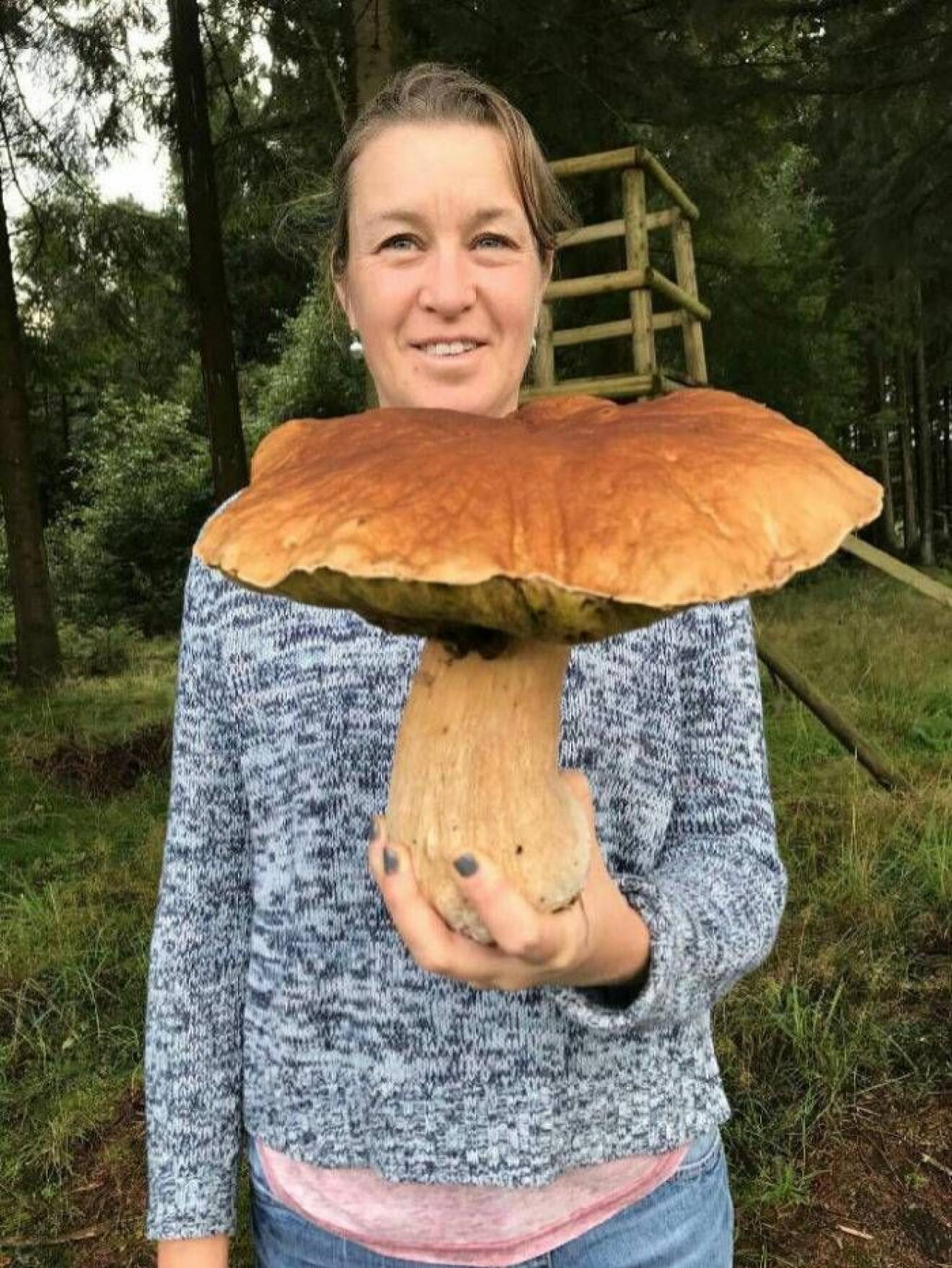 Helen Osbjers fynd från skogspromenaden.