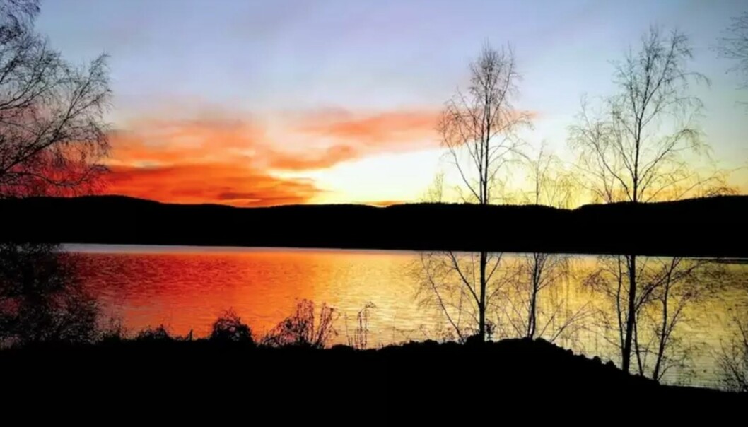 Gamla affären i Sunne