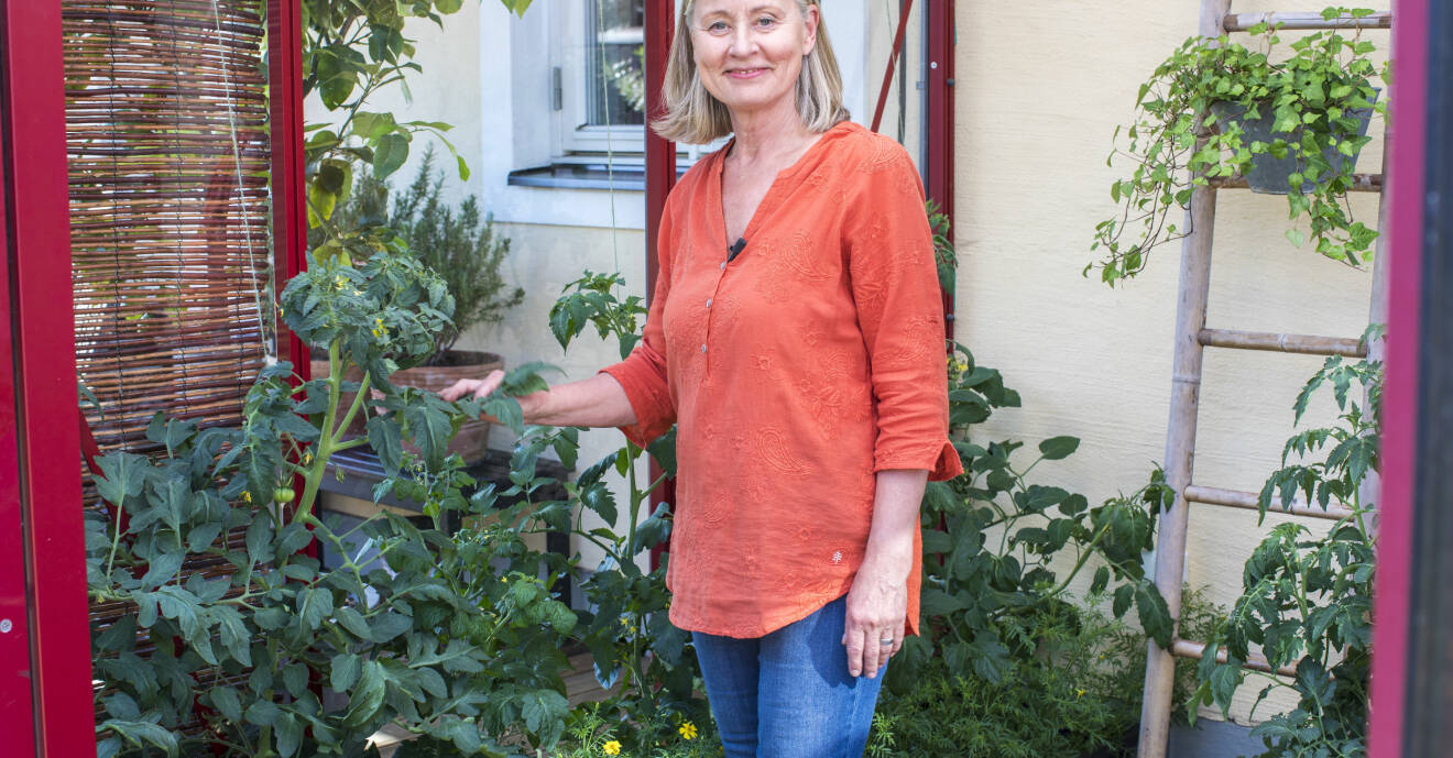 Anni Jähde visar hur man bäst tar hand om sina tomater