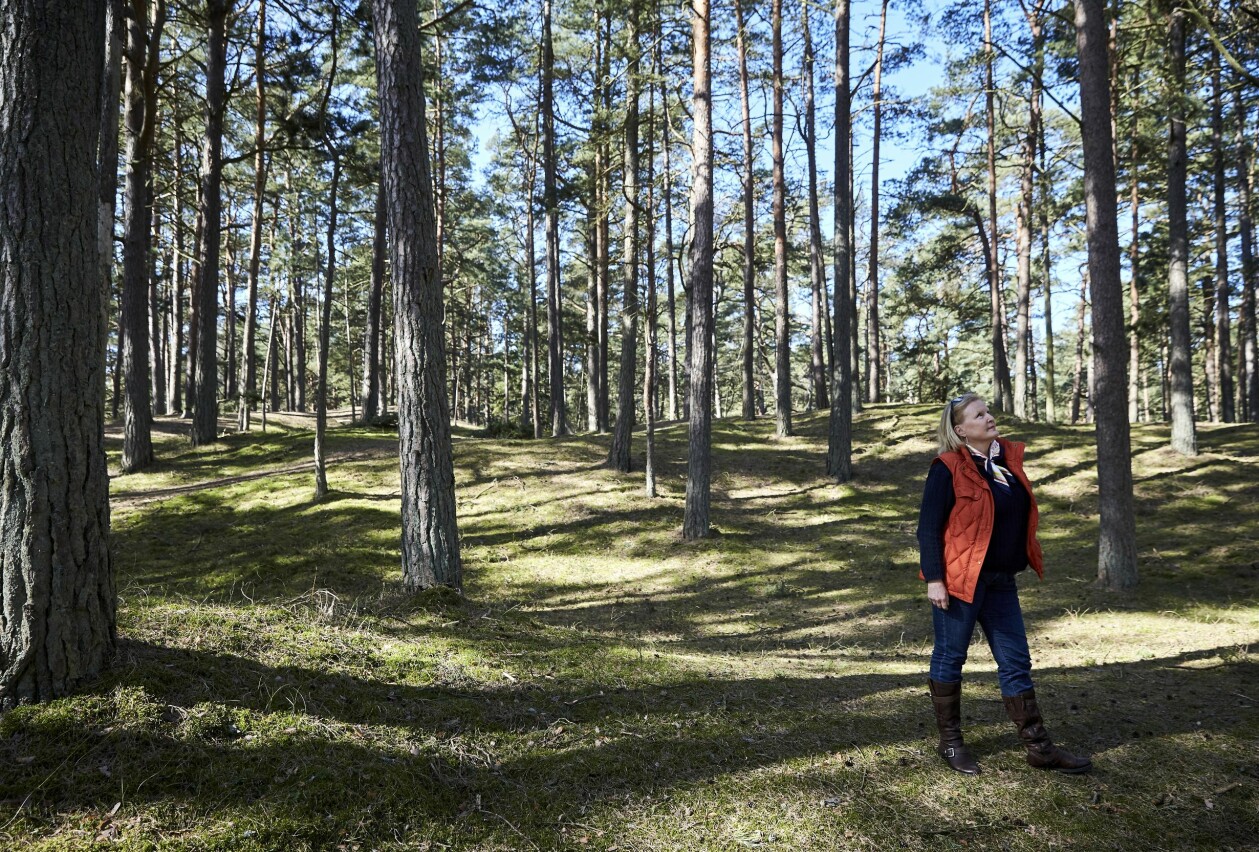 – Jag förlorade allt utom mina barn och mitt liv. Men det ledde mig till där jag är idag: rikare, mer medveten och mindre rädd, säger Aryel. Aryel vandrar i skogen.