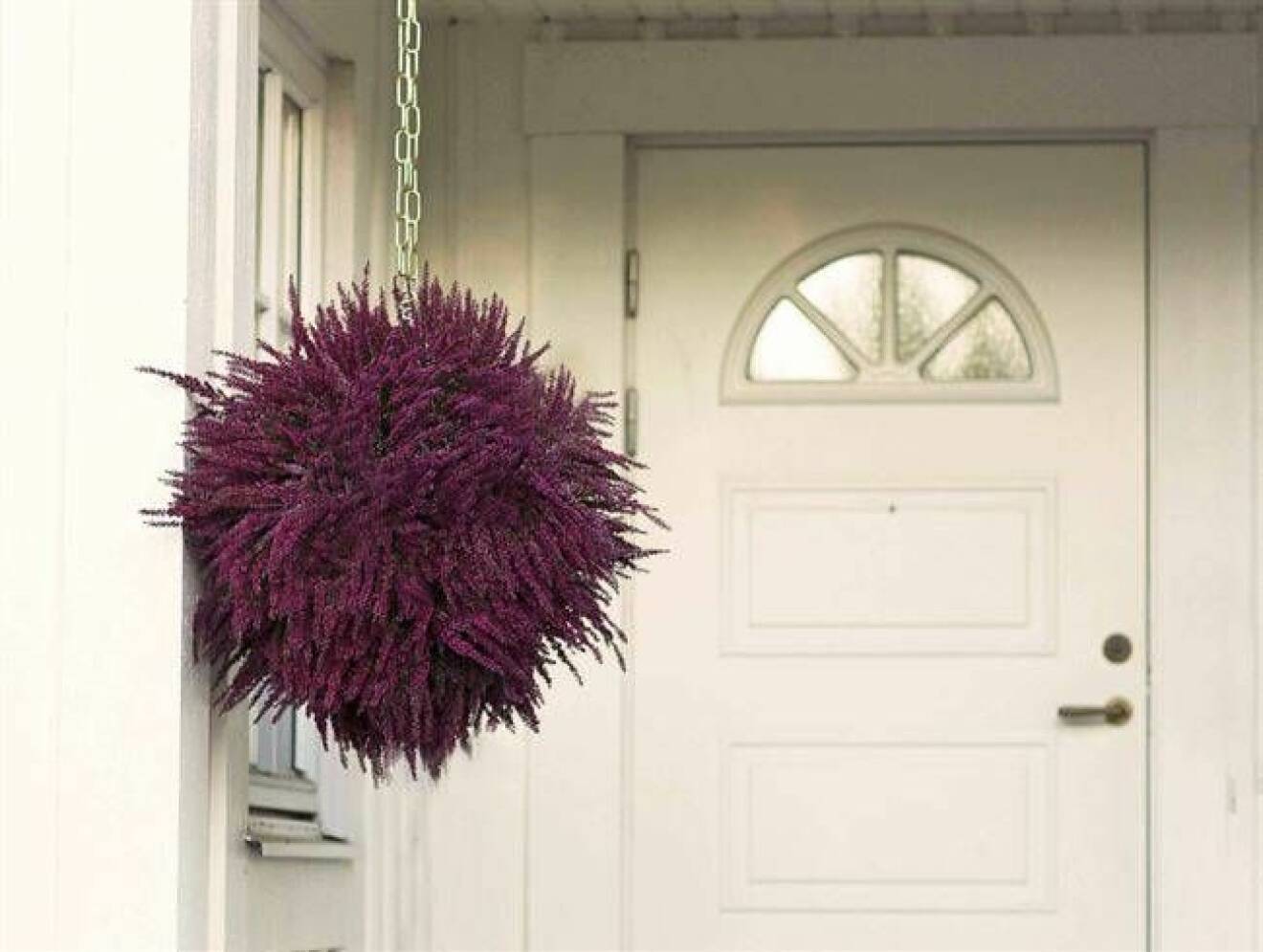 En lila ljungboll hänger i en kedja på en vid veranda till vänster om ytterdörren.