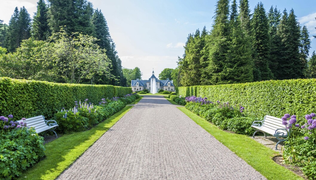Avenbok är en lättskött och vacker häck som tål att klippas till stram form. Här leder häcken in mot Villa Abelin. Avenboks-häck på Norrvikens Trädgårdar vid Villa Abelin.