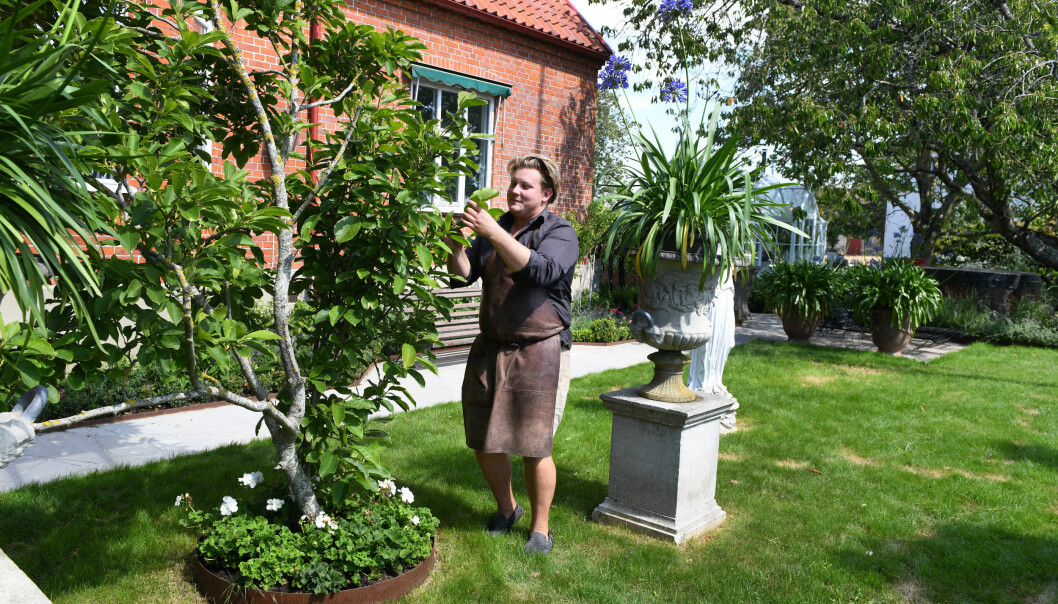 Karl Fredrik var inte riktigt beredd på vilket stort intresse tv-programmet skulle föra med sig. Men han tycker att det är härligt att få förmedla inspiration och trädgårdsglädje. Karl Fredrik på Österlen fixar och donar i sin trädgård på gården Eklaholm.