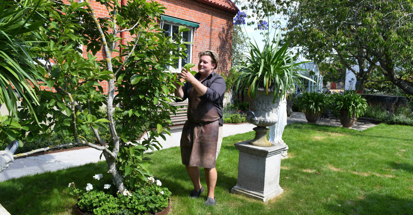 Karl Fredrik på Österlen fixar och donar i sin trädgård på gården Eklaholm.