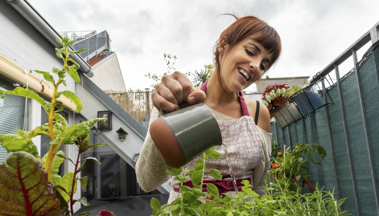 En glad kvinna vattnar sina plantor.