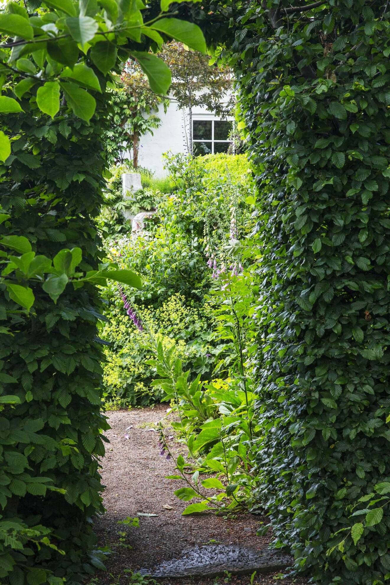 Grön portal leder oss vidare in i Årets trädgård 2019